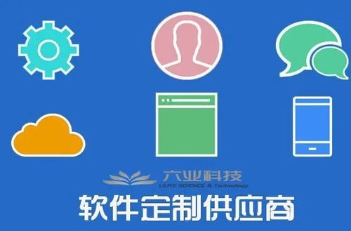 企業青睞定制開發 軟件定制熱度為何急劇上升？